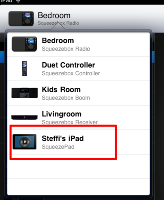 iPad in der Playerauswahl