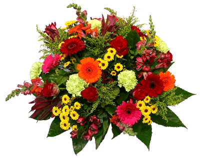 bloemen(1).gif